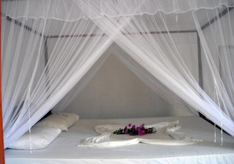 فندق Baby Red Fish