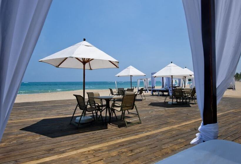 ホテル Blue Jacktar