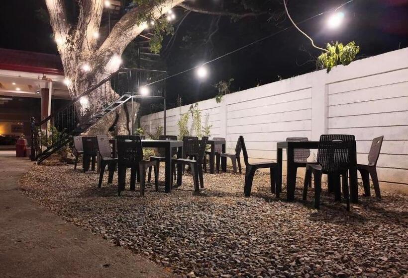 호텔 Cecilia S Inn