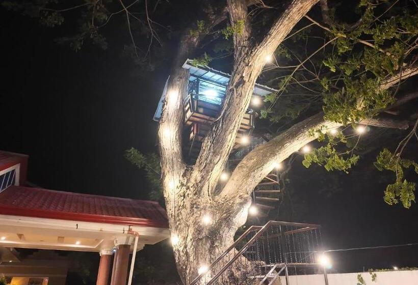 호텔 Cecilia S Inn