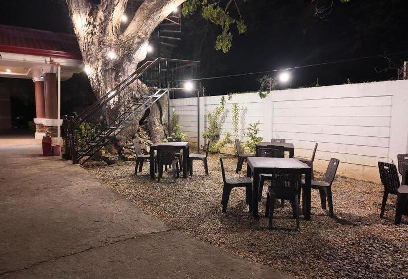 호텔 Cecilia S Inn