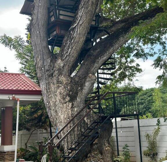 호텔 Cecilia S Inn