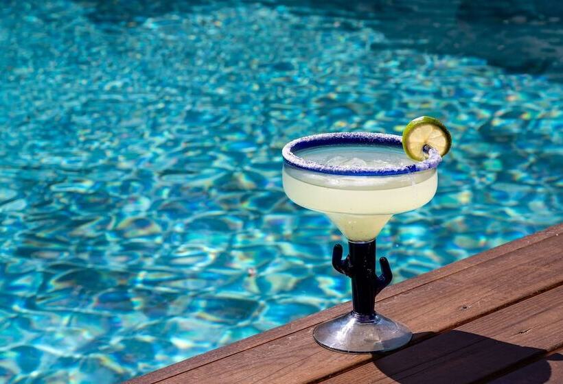 בית מלון כפרי Centro Bodrum