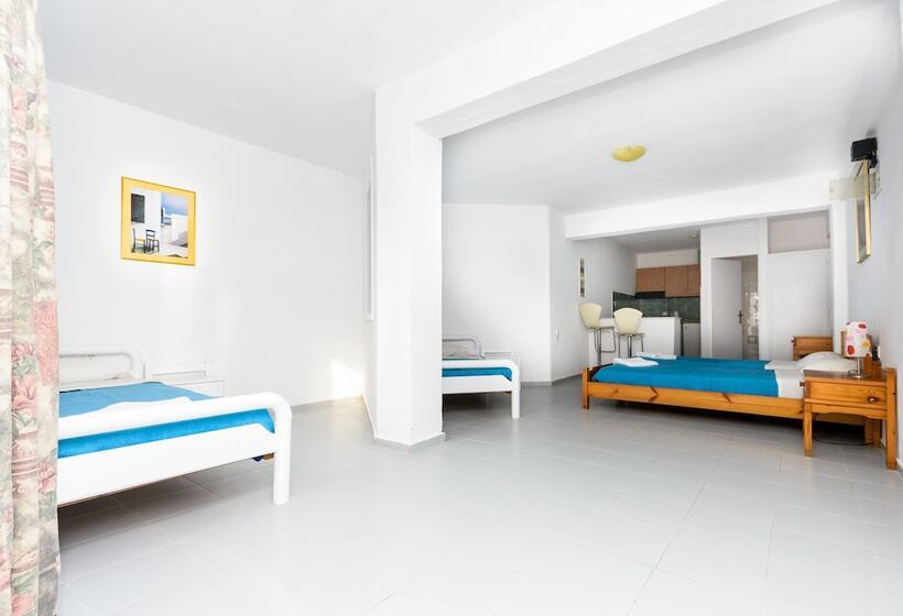 호텔 Classic Apartments