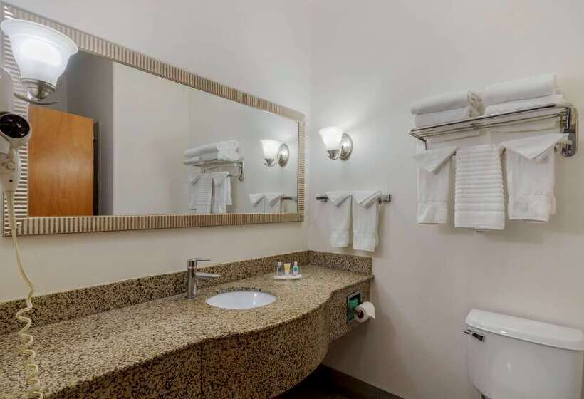 فندق Comfort Suites Stockbridge Atlanta South