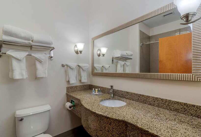 فندق Comfort Suites Stockbridge Atlanta South