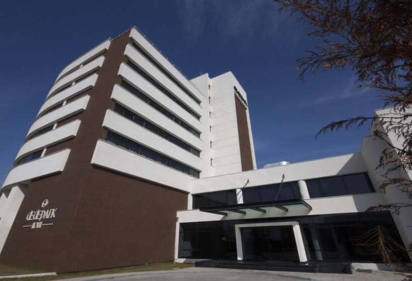 בית מלון כפרי Dedepark