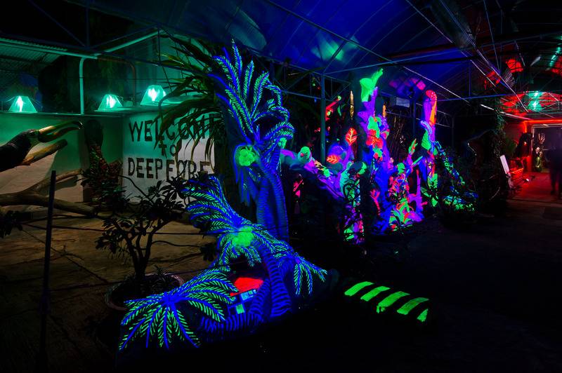 هتل Deep Forest Garden