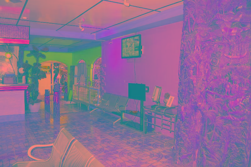 هتل Deep Forest Garden