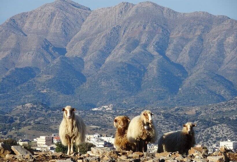 בית מלון כפרי Delina Mountain Resort