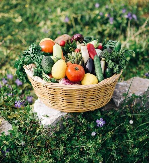 בית מלון כפרי Delina Mountain Resort