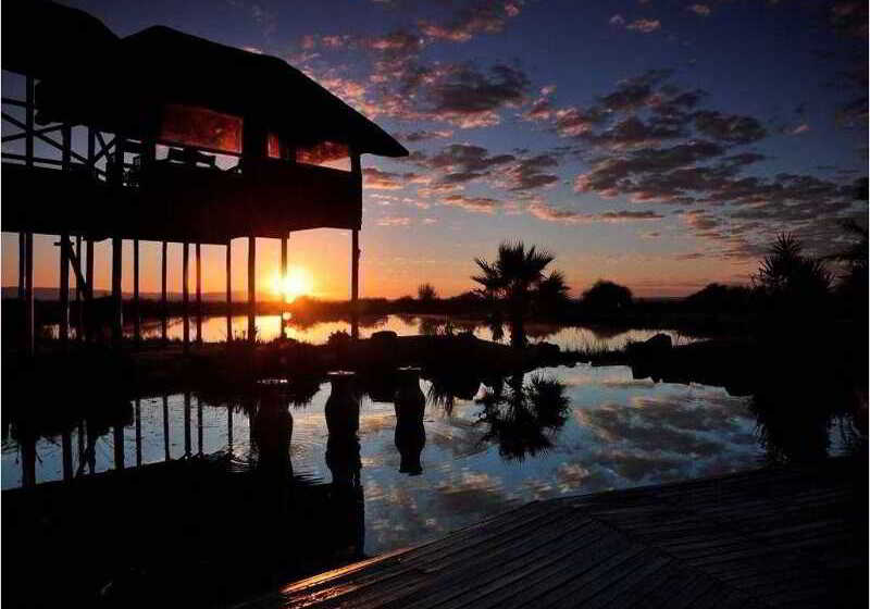 호텔 Ditholo Game Lodge