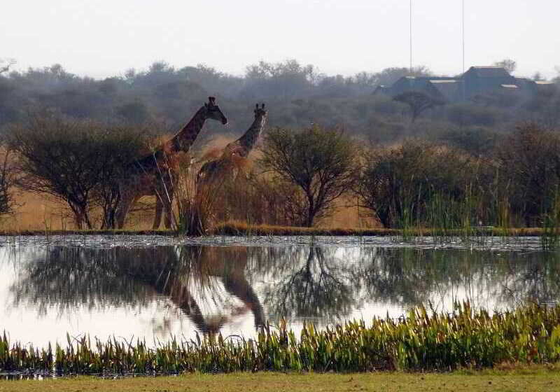 호텔 Ditholo Game Lodge