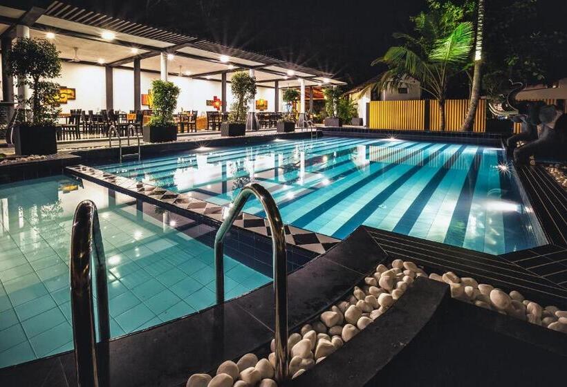 בית מלון כפרי Flower Garden