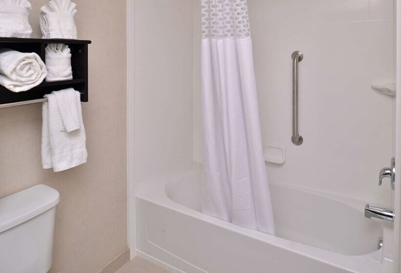 Отель Hampton Inn & Suites Orlando/downtown South Medical Center