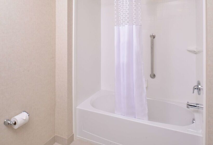 Отель Hampton Inn & Suites Orlando/downtown South Medical Center