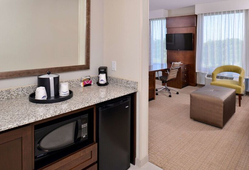 酒店 Hampton Inn & Suites Orlando/downtown South   Medical Center