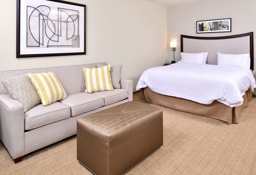 酒店 Hampton Inn & Suites Orlando/downtown South   Medical Center