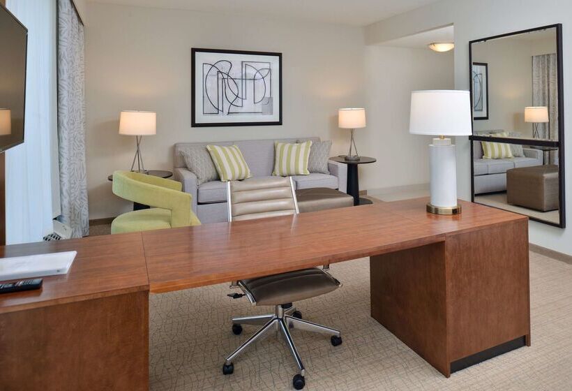 酒店 Hampton Inn & Suites Orlando/downtown South   Medical Center