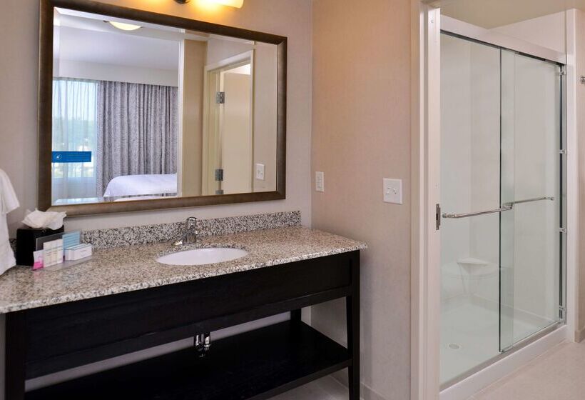 Отель Hampton Inn & Suites Orlando/downtown South Medical Center