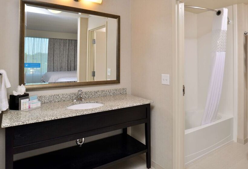 酒店 Hampton Inn & Suites Orlando/downtown South   Medical Center