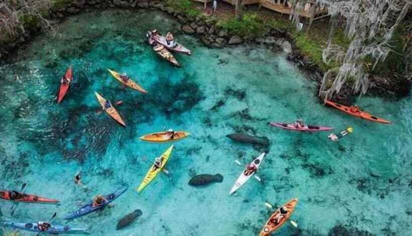 فندق Hampton Inn Crystal River, Fl