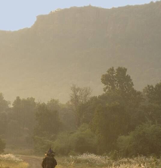 호텔 Mahua Kothi Bandhavgarh - A Taj Safari Lodge