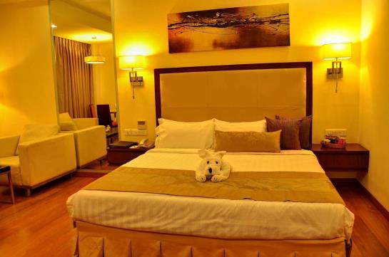 هتل Manasarovar  The Fern