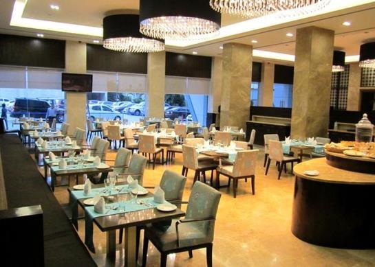 هتل Manasarovar  The Fern