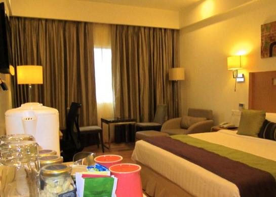 هتل Manasarovar  The Fern