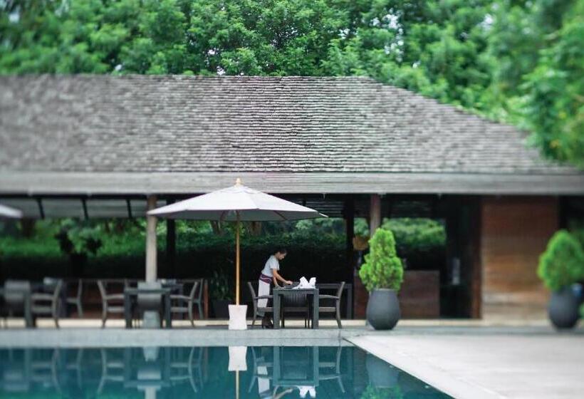 فندق Muthi Maya Forest Pool Villa Resort