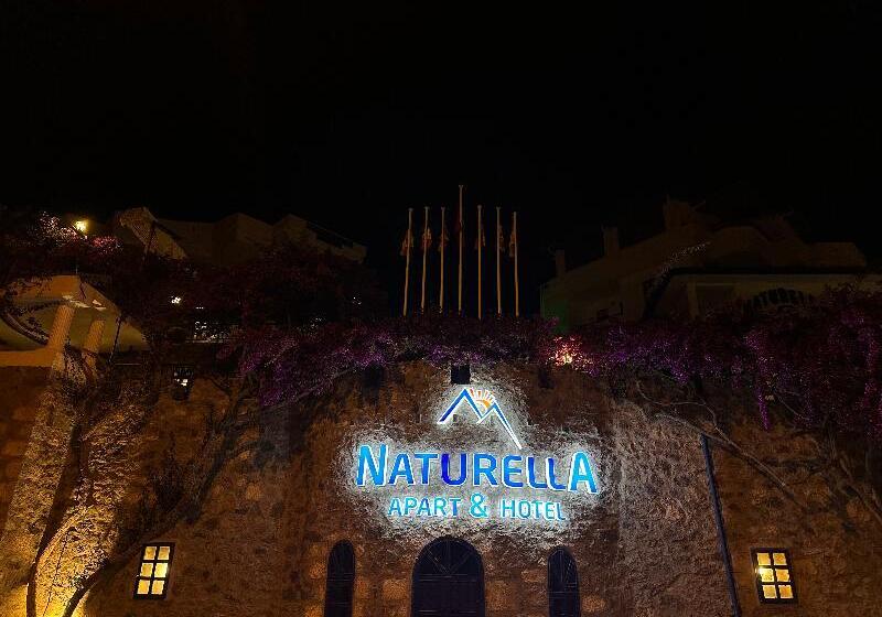 ホテル Naturella Apart