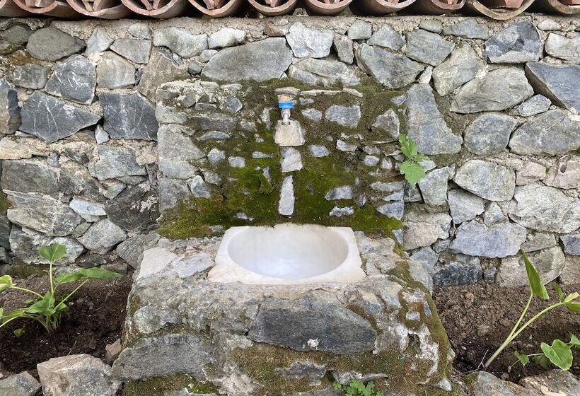 ホテル Naturella Apart