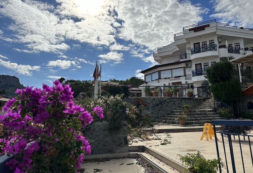 ホテル Naturella Apart