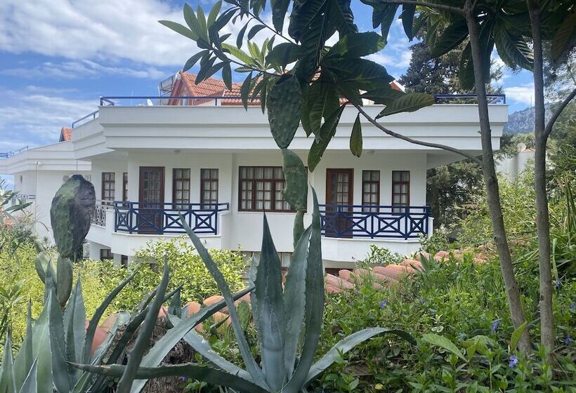 ホテル Naturella Apart