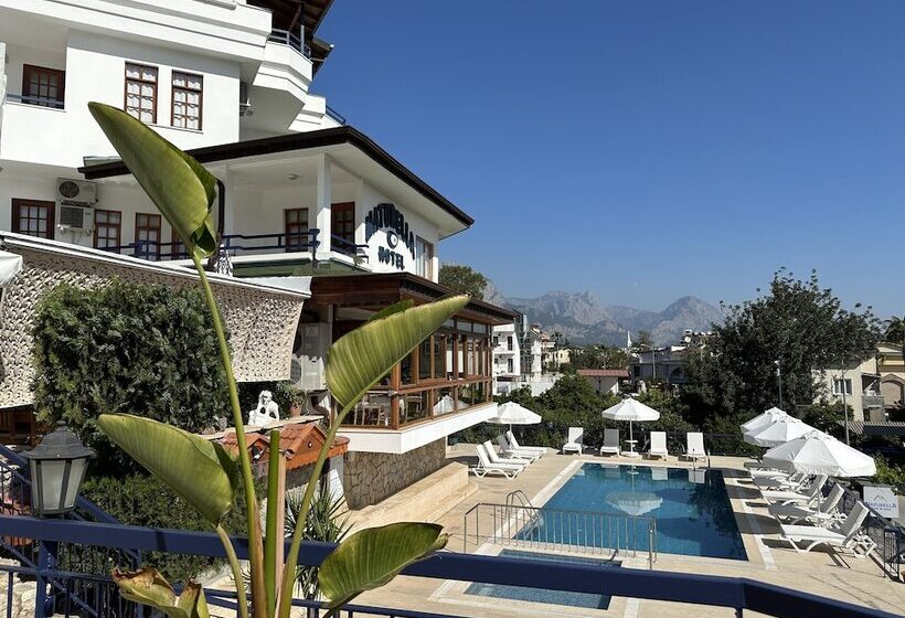 ホテル Naturella Apart