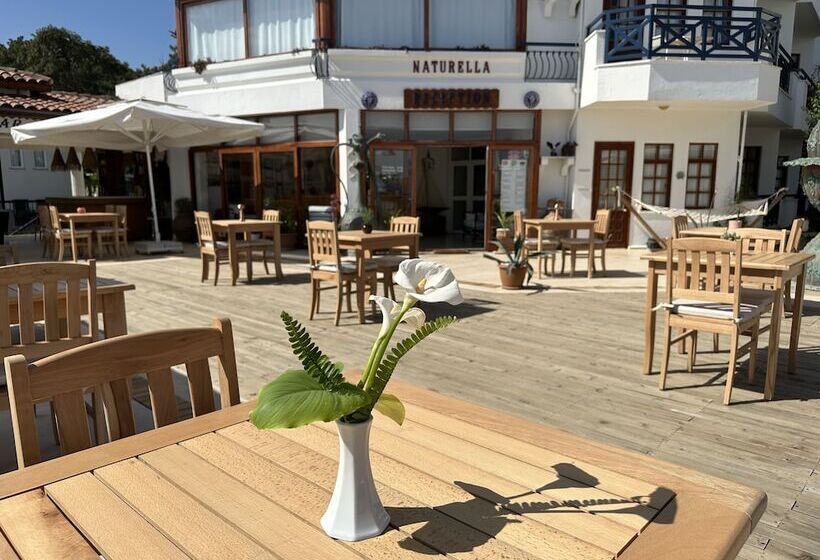 ホテル Naturella Apart