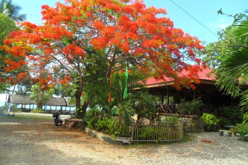 Отель Nitivos Beach Resort