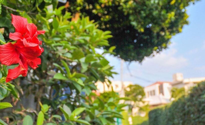 فندق Palm Royal Naha Kokusai Street