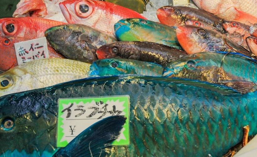 فندق Palm Royal Naha Kokusai Street