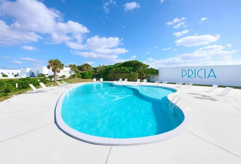 בית מלון כפרי Pricia Resort Yoron