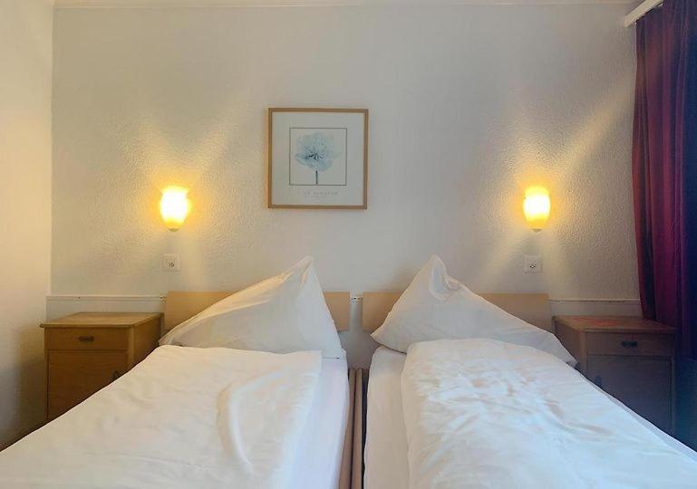 בית מלון כפרי Rebstock Meiringen