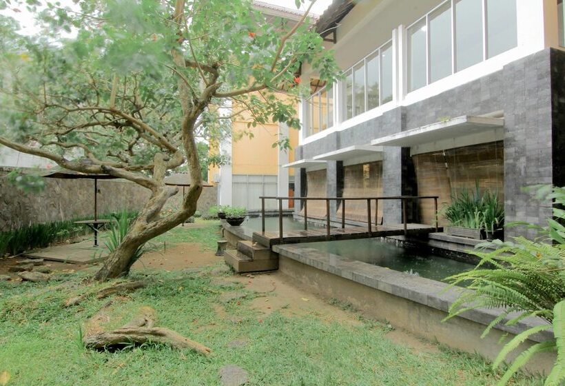 Отель University