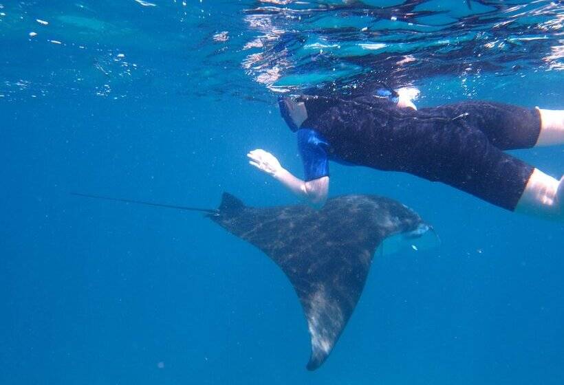پانسیون Ukulhas Beach Inn