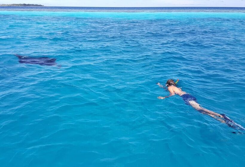 پانسیون Ukulhas Beach Inn