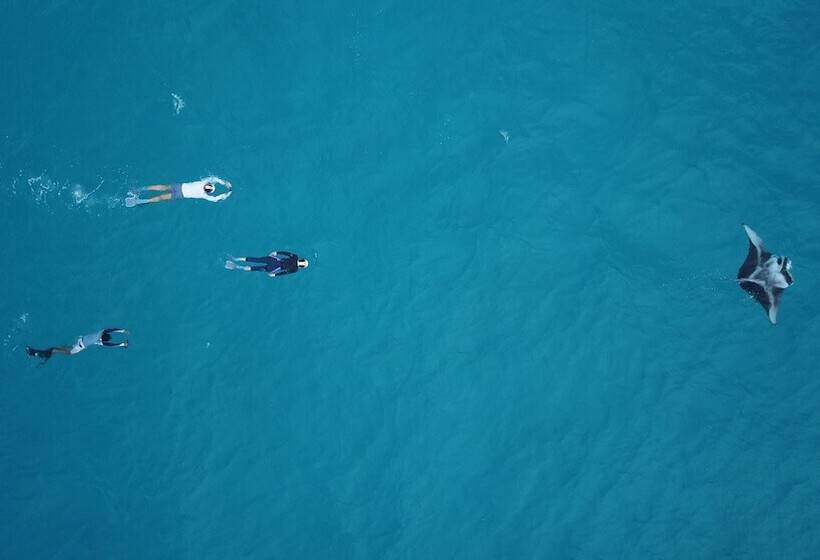 پانسیون Ukulhas Beach Inn