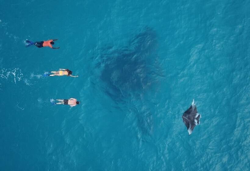 پانسیون Ukulhas Beach Inn