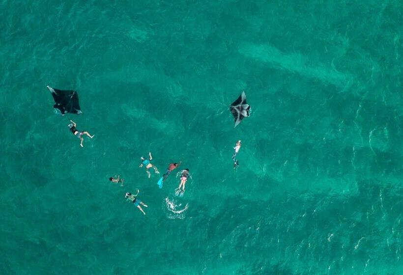 پانسیون Ukulhas Beach Inn