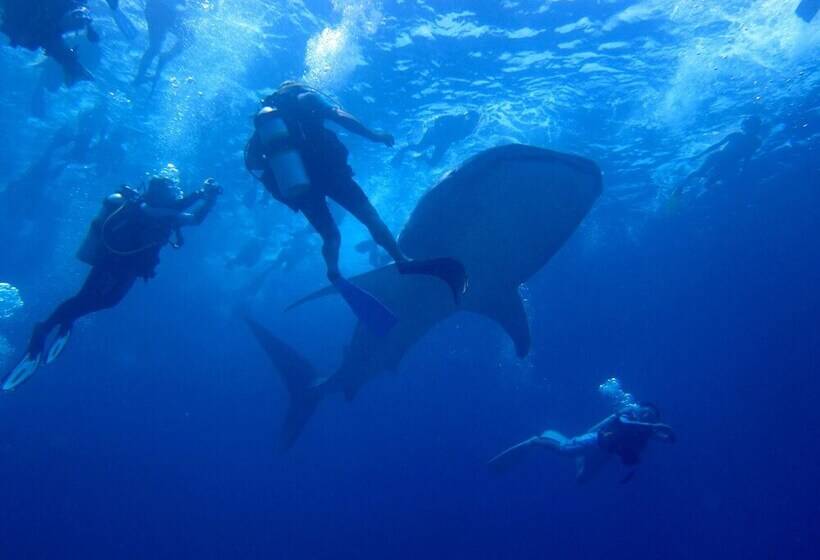 پانسیون Ukulhas Beach Inn