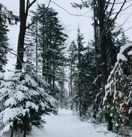 Trip Inn Aktivhotel & Restaurant Sonnenhof Bei Passau Ehemals Sporthotel Sonnenhof